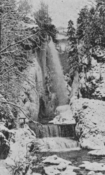 Taubenloch Gorges, nær Biel om vinteren (s/h foto) af Swiss Photographer