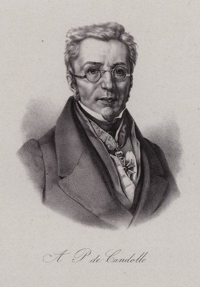 Augustin Pyramus de Candolle, schweizisk botaniker (gravering) af Swiss School