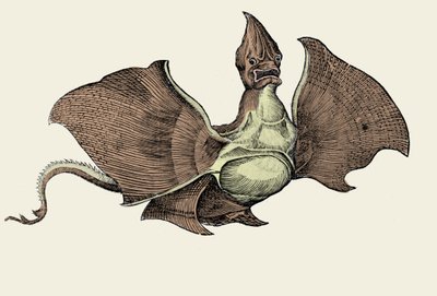 Fantastisk havmonster, illustration fra 