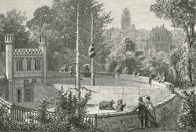 Bjørnegraven i Bern af Swiss School