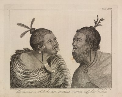 L.R.294.c.7, plade XVII New Zealandske krigere af Sydney (after) Parkinson