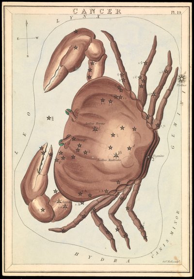 Kræft, ca. 1825 (kort, papir, væv) af Sydney Hall