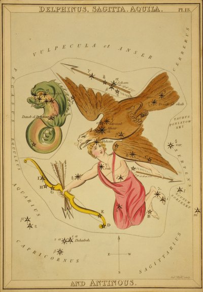 Delphinus, Sagitta, Aquila og Antinous, Illustration fra 