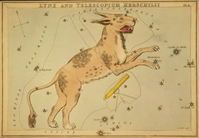 Lynx og Telescopium Herschilii, Illustration fra 