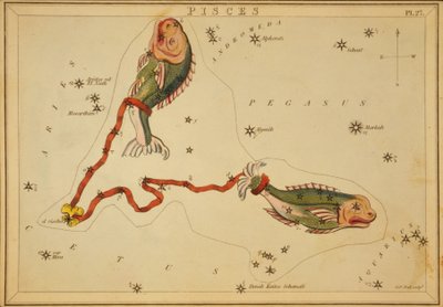 Fiskene, illustration fra 