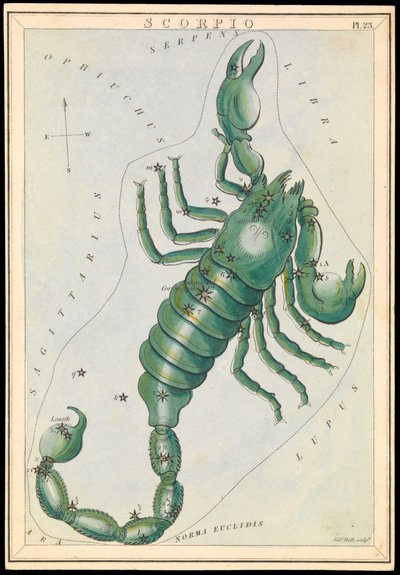 Skorpionen, ca. 1825 (kort, papir, væv) af Sydney Hall