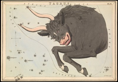 Taurus, ca. 1825 (kort, papir, væv) af Sydney Hall