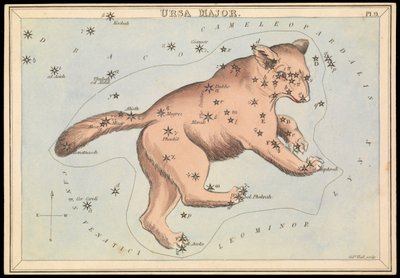 Ursa Major, ca. 1825 (kort, papir, væv) af Sydney Hall