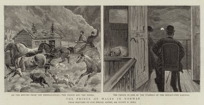 Prinsen af Wales i Norge af Sydney Prior Hall