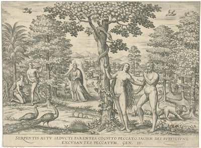 Zondeval Figurer og billeder af bøger (serietitel) af Symon Novelanus (attributed to)