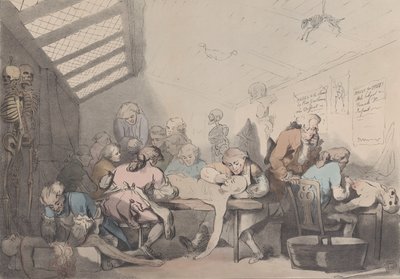 Dissektionsrummet, ca. 1838. af T. C. Wilson