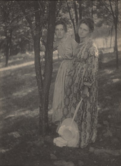 I skoven, ca. 1899 (foto) af T. M. Edmiston