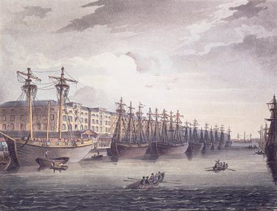 Vestindiska dokker af T. and Pugin A.C. Rowlandson