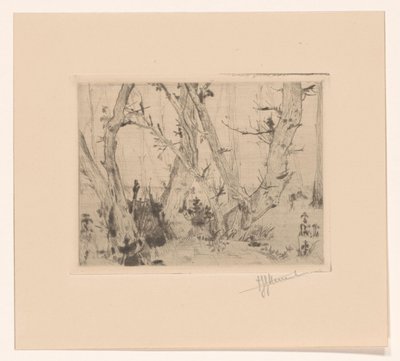 skov udsigt af T. Sterrenburg (signed by artist)