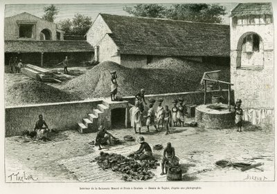 Inde i fabrikken Maurel og Prom, i Boulam, samler og forarbejder jordnødder, palmemandel og gummi. Gravering af Taylor, efter et fotografi, for at illustrere historien Voyage dans la Senegambie et la Guinee portugisisk, i 1888, af kaptajn A. Brosselard, af T Taylor