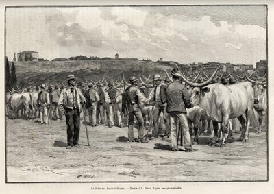Oksekødsmessen i Siena (Italien). Gravering af Taylor for at illustrere historien "" A travers la Tuscane"" af Eugene Muntz (1845-1902), i Le tour du Monde 1892, instrueret af Edouard Charton (1807-1891), Hachette, Paris. af T Taylor