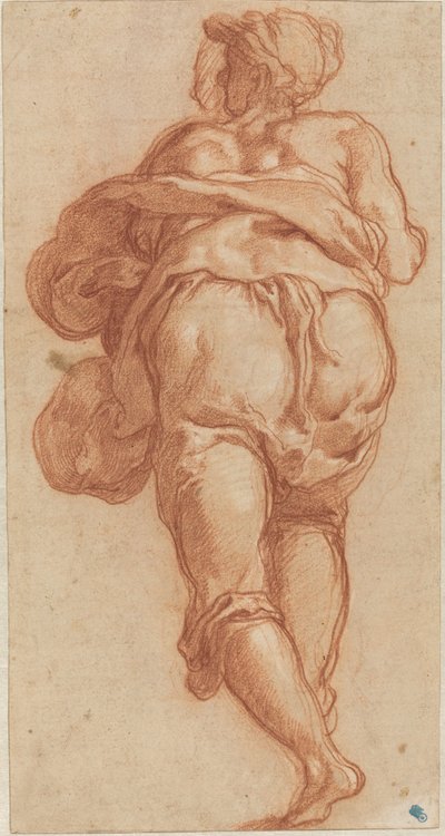 En mand set bagfra [recto] af Taddeo Zuccaro