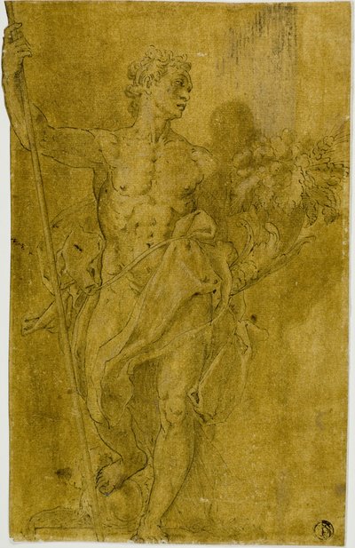 Studie til mandlig allegorisk figur af Taddeo Zuccaro