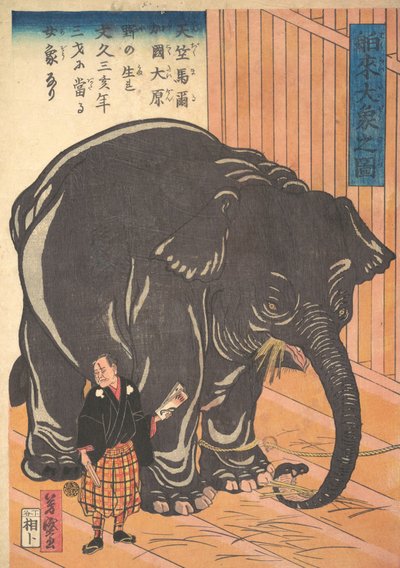 Udsigt over den store importerede elefant, 1863 Bunkyo 3, 4. måned. af Taguchi Yoshimori