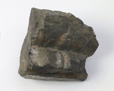 Fragment af en lotus piedestal af Tang Dynasty Chinese School