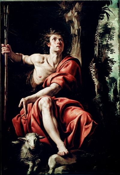 Saint John in the Desert Maleri af Tanzio da Varallo (Antonio d