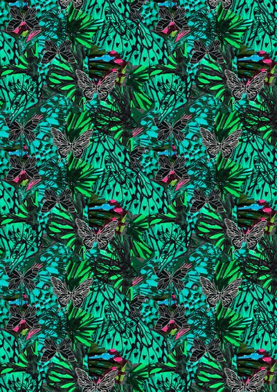 Papillon af Tara Whitehead