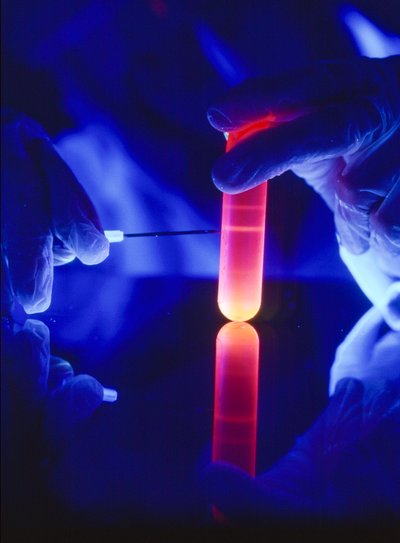 Udvinding af nukleotider af RNA fra et centrifugerør af plast. af Ted Spiegel