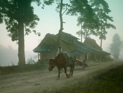  af Teijiro Takagi
