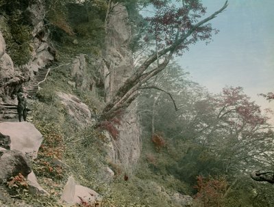 på vejen til Kegon-vandfaldene i Nikko, ca. 1900 - 1915 (fotografi) af Teijiro Takagi
