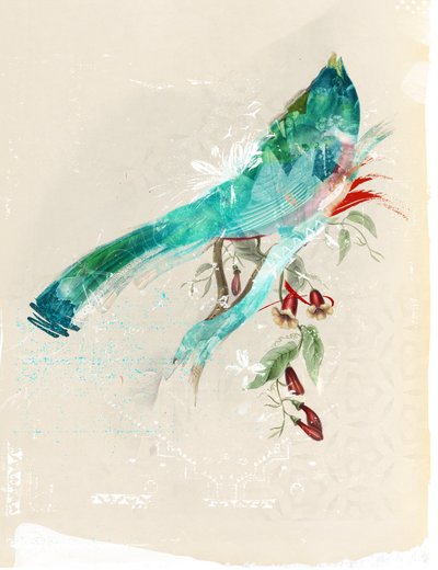 Fuglesilhuet, 2017 (Collage på lærred) af Teis Albers