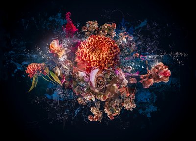 Bouquet collage, 2017 (foto) af Teis Albers
