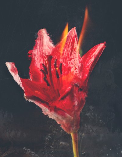 Combust, 2019 (blandet medier på lærred) af Teis Albers
