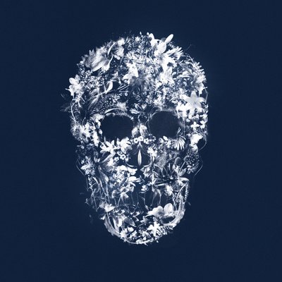 FloralSkull, 2018 (blandet medier på lærred) af Teis Albers