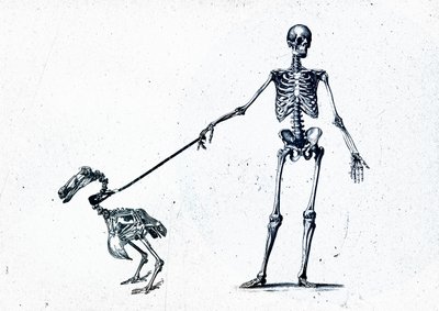 Walking my dodo, 2015 (blandet medier på lærred) af Teis Albers