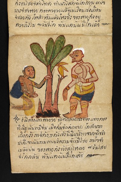 Eller. 16482, f.21 