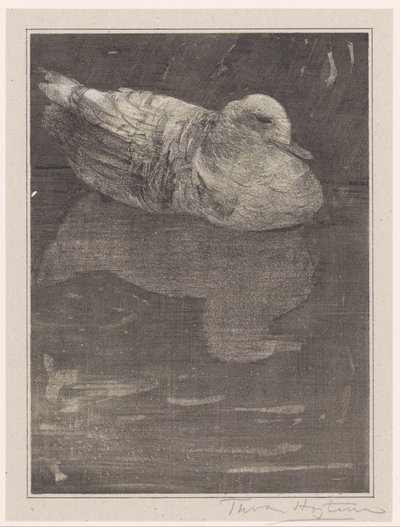 flydende and af Theo van Hoytema (signed by artist)
