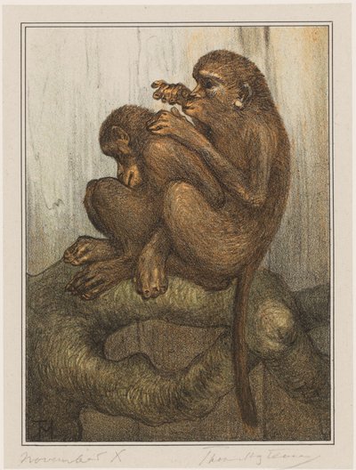 loppeaber af Theo van Hoytema (signed by artist)