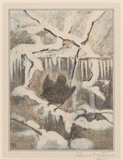 Græssmutte på sneklædt gren af Theo van Hoytema (signed by artist)
