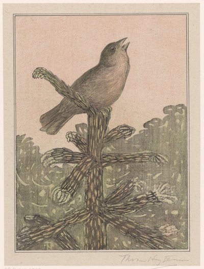 Syngende fugl på fyrretræ af Theo van Hoytema (signed by artist)