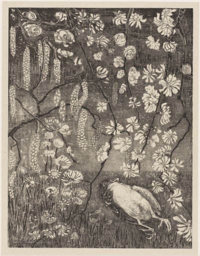 Død fugl under hassel- og kaprifoliergrene Flower Studies (original serietitel) af Theo van Hoytema