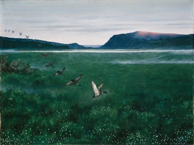 De tolv vilde ænder af Theodor Kittelsen