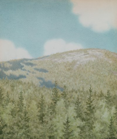 En fugl fløj der af Theodor Severin Kittelsen