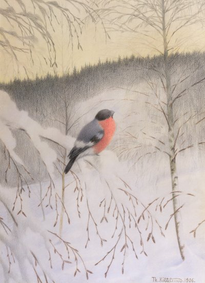 Bullfinch på Frosty Kvist af Theodor Kittelsen
