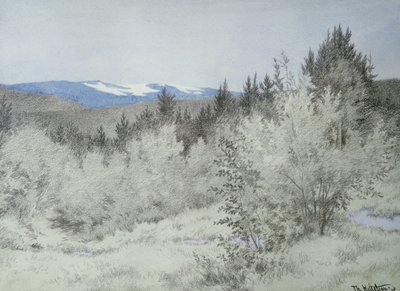 Langt langt væk i skoven af Theodor Kittelsen
