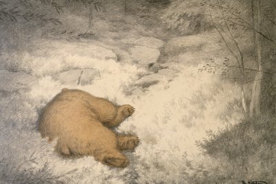 Bjørnen sover i blåbærlyng af Theodor Severin Kittelsen