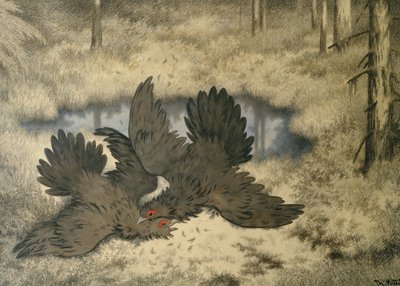 Troldefuglen kæmper derinde af Theodor Kittelsen