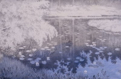 Der ligger en dam i Svartebudale af Theodor Kittelsen