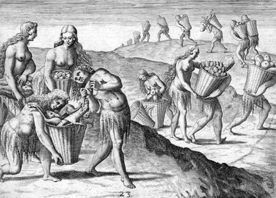Timucua-indianernes stamme af Theodor de Bry