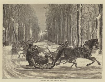 Kanekørsel i Haag, Holland af Theodore Blake Wirgman