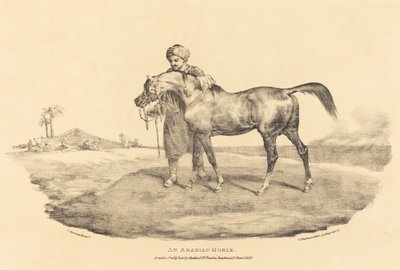 En arabisk hest af Theodore Gericault